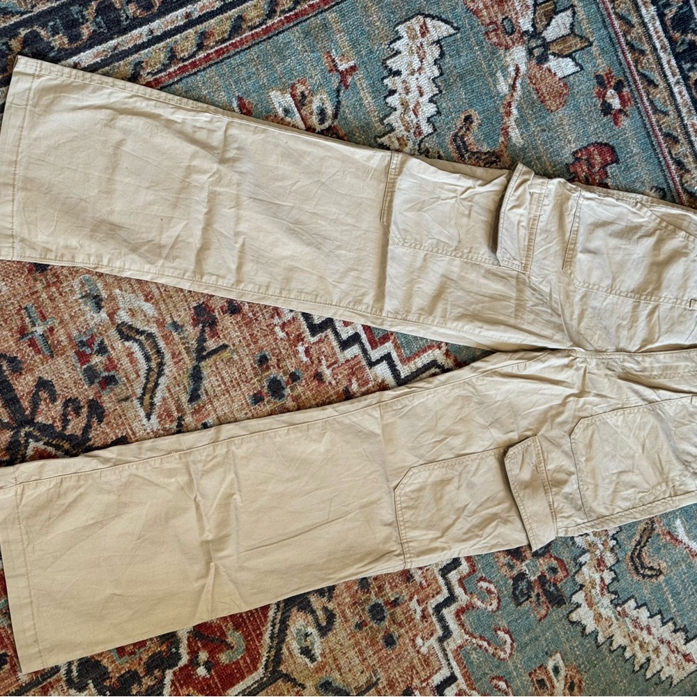 Sanctuary cargo pants